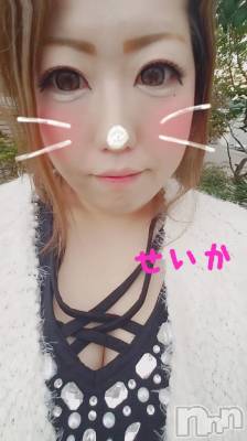 新潟デリヘル 奥様特急 新潟店(オクサマトッキュウニイガタテン) せいか(32)の12月8日写メブログ「出勤★」