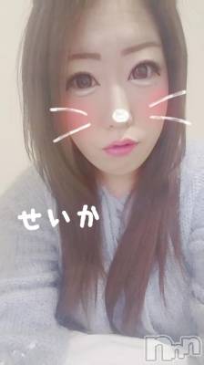 新潟デリヘル 奥様特急 新潟店(オクサマトッキュウニイガタテン) せいか(32)の12月9日写メブログ「出勤★」