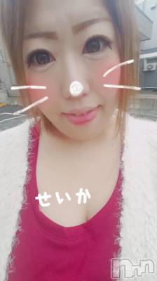 新潟デリヘル 奥様特急 新潟店(オクサマトッキュウニイガタテン) せいか(32)の12月13日写メブログ「ありがとう★」