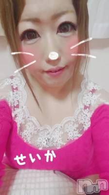 新潟デリヘル 奥様特急 新潟店(オクサマトッキュウニイガタテン) せいか(32)の12月14日写メブログ「ありがとう★」