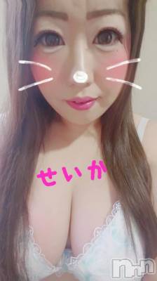 新潟デリヘル 奥様特急 新潟店(オクサマトッキュウニイガタテン) せいか(32)の12月15日写メブログ「出勤★」
