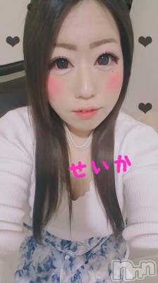 新潟デリヘル 奥様特急 新潟店(オクサマトッキュウニイガタテン) せいか(32)の12月19日写メブログ「お待ちしてます★」