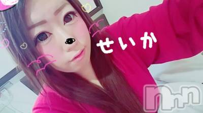 新潟デリヘル 奥様特急 新潟店(オクサマトッキュウニイガタテン) せいか(32)の12月21日写メブログ「またね★」