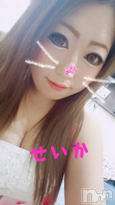 新潟デリヘル 奥様特急 新潟店(オクサマトッキュウニイガタテン) せいか(32)の3月14日写メブログ「ありがとう☆」