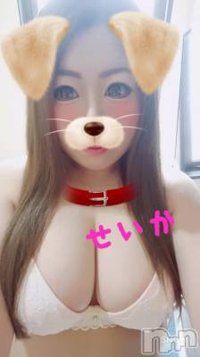 新潟デリヘル 奥様特急 新潟店(オクサマトッキュウニイガタテン) せいか(32)の3月15日写メブログ「ありがとう☆」