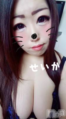 新潟デリヘル 奥様特急 新潟店(オクサマトッキュウニイガタテン) せいか(32)の3月15日写メブログ「おはよ☆」