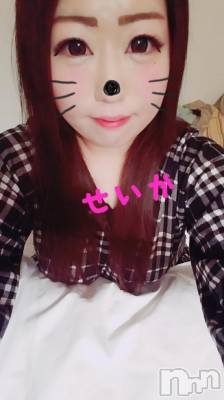 新潟デリヘル 奥様特急 新潟店(オクサマトッキュウニイガタテン) せいか(32)の3月18日写メブログ「ありがとう☆」