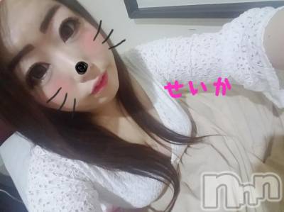 新潟デリヘル 奥様特急 新潟店(オクサマトッキュウニイガタテン) せいか(32)の6月4日写メブログ「出勤★」