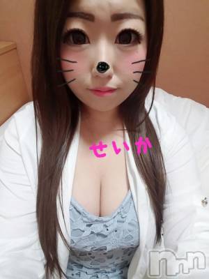 新潟デリヘル 奥様特急 新潟店(オクサマトッキュウニイガタテン) せいか(32)の8月24日写メブログ「ありがとう☆」