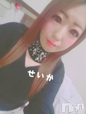 新潟デリヘル 奥様特急 新潟店(オクサマトッキュウニイガタテン) せいか(32)の11月13日写メブログ「出勤☆」