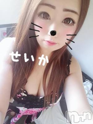 新潟デリヘル 奥様特急 新潟店(オクサマトッキュウニイガタテン) せいか(32)の11月18日写メブログ「ありがとう☆」