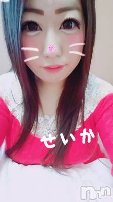 新潟デリヘル 奥様特急 新潟店(オクサマトッキュウニイガタテン) せいか(32)の11月23日写メブログ「ありがとう☆」