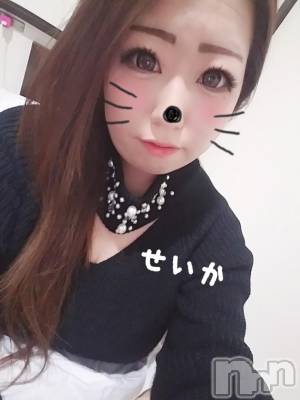 新潟デリヘル 奥様特急 新潟店(オクサマトッキュウニイガタテン) せいか(32)の2月9日写メブログ「ありがとう☆」