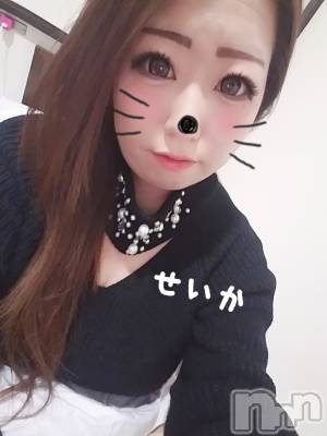 新潟デリヘル 奥様特急 新潟店(オクサマトッキュウニイガタテン) せいか(32)の4月5日写メブログ「ありがとう☆」