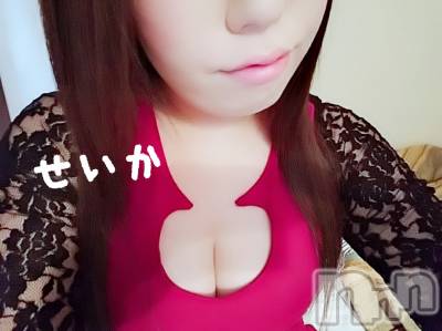 新潟デリヘル 奥様特急 新潟店(オクサマトッキュウニイガタテン) せいか(32)の4月8日写メブログ「ありがとう☆」