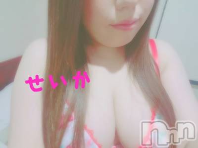 新潟デリヘル 奥様特急 新潟店(オクサマトッキュウニイガタテン) せいか(32)の5月2日写メブログ「ありがとう☆」