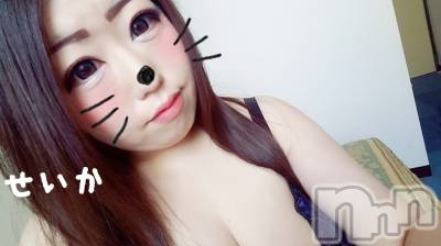 新潟デリヘル 奥様特急 新潟店(オクサマトッキュウニイガタテン) せいか(32)の5月7日写メブログ「出勤☆」