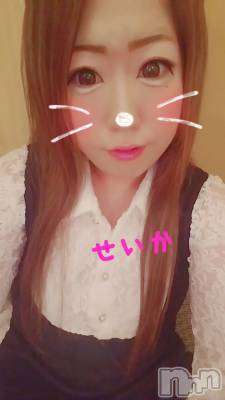 新潟デリヘル 奥様特急 新潟店(オクサマトッキュウニイガタテン) せいか(32)の5月9日写メブログ「ありがとう☆」
