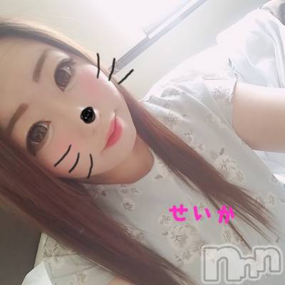 新潟デリヘル 奥様特急 新潟店(オクサマトッキュウニイガタテン) せいか(32)の7月1日写メブログ「出勤☆」