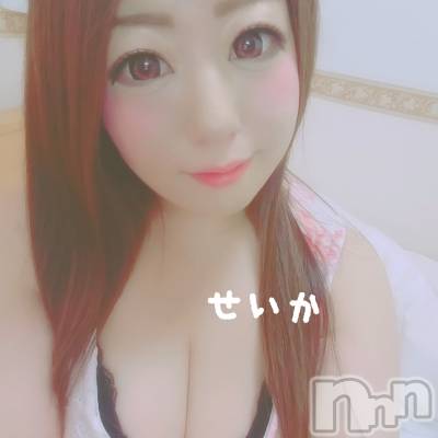 新潟デリヘル 奥様特急 新潟店(オクサマトッキュウニイガタテン) せいか(32)の8月24日写メブログ「出勤☆」