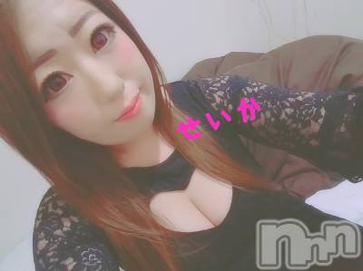 新潟デリヘル 奥様特急 新潟店(オクサマトッキュウニイガタテン) せいか(32)の9月25日写メブログ「ありがとう☆」
