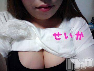 新潟デリヘル 奥様特急 新潟店(オクサマトッキュウニイガタテン) せいか(32)の11月17日写メブログ「ありがとう☆」