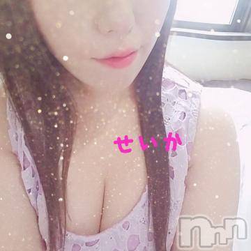 新潟デリヘル 奥様特急 新潟店(オクサマトッキュウニイガタテン) せいか(32)の11月19日写メブログ「出勤☆」