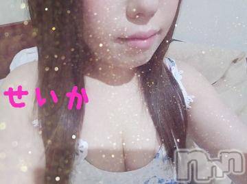 新潟デリヘル 奥様特急 新潟店(オクサマトッキュウニイガタテン) せいか(32)の3月7日写メブログ「戻ってます☆」