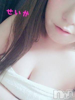 新潟デリヘル 奥様特急 新潟店(オクサマトッキュウニイガタテン) せいか(32)の3月12日写メブログ「ありがとう☆」