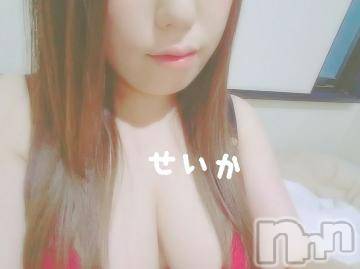 新潟デリヘル 奥様特急 新潟店(オクサマトッキュウニイガタテン) せいか(32)の6月3日写メブログ「出勤☆」