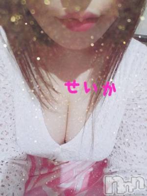 新潟デリヘル 奥様特急 新潟店(オクサマトッキュウニイガタテン) せいか(32)の8月20日写メブログ「ありがとう☆」
