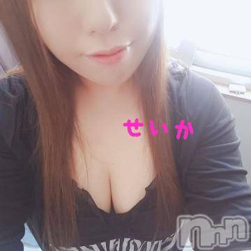 新潟デリヘル 奥様特急 新潟店(オクサマトッキュウニイガタテン) せいか(32)の8月22日写メブログ「出勤☆」