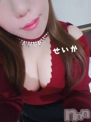 新潟デリヘル 奥様特急 新潟店(オクサマトッキュウニイガタテン) せいか(32)の1月27日写メブログ「ありがとう☆」