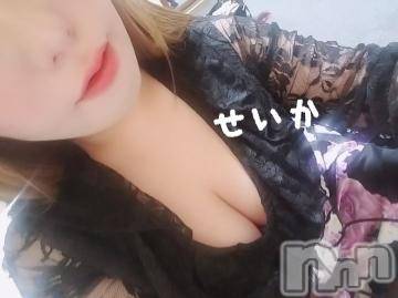 新潟デリヘル 奥様特急 新潟店(オクサマトッキュウニイガタテン) せいか(32)の3月28日写メブログ「出勤☆」