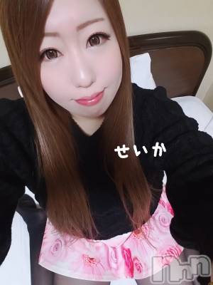 新潟デリヘル 奥様特急 新潟店(オクサマトッキュウニイガタテン) せいか(32)の3月31日写メブログ「おはよう☆」