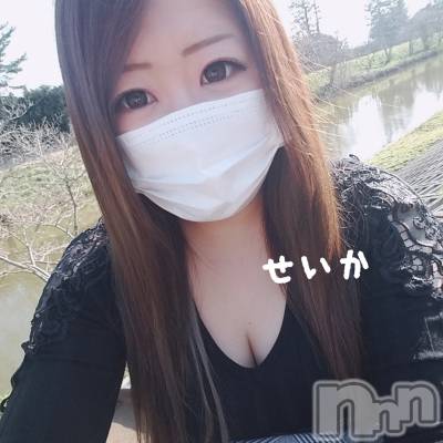 新潟デリヘル 奥様特急 新潟店(オクサマトッキュウニイガタテン) せいか(32)の4月1日写メブログ「おはよう☆」