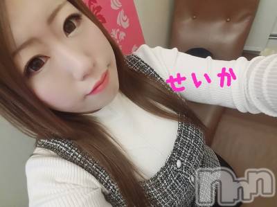 新潟デリヘル 奥様特急 新潟店(オクサマトッキュウニイガタテン) せいか(32)の4月2日写メブログ「おはよう☆」