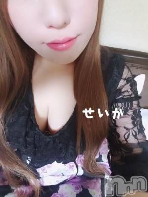 新潟デリヘル 奥様特急 新潟店(オクサマトッキュウニイガタテン) せいか(32)の4月2日写メブログ「出勤☆」