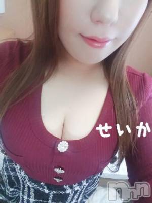 新潟デリヘル 奥様特急 新潟店(オクサマトッキュウニイガタテン) せいか(32)の4月4日写メブログ「出勤☆」