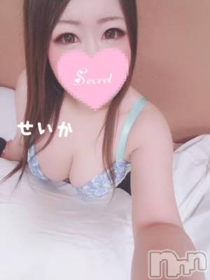 新潟デリヘル 奥様特急 新潟店(オクサマトッキュウニイガタテン) せいか(32)の2月12日写メブログ「またね☆」