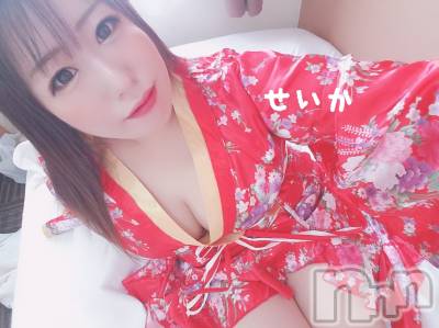 新潟デリヘル 奥様特急 新潟店(オクサマトッキュウニイガタテン) せいか(32)の4月26日写メブログ「おはよう☆」