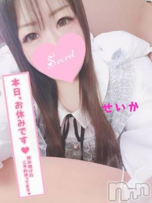 新潟デリヘル 奥様特急 新潟店(オクサマトッキュウニイガタテン) せいか(32)の5月2日写メブログ「お休み☆」