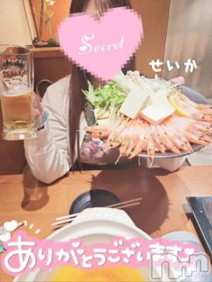 新潟デリヘル 奥様特急 新潟店(オクサマトッキュウニイガタテン) せいか(32)の5月5日写メブログ「ありがとう☆」
