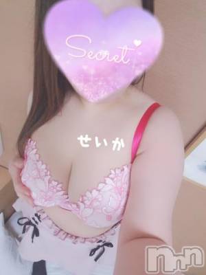 新潟デリヘル 奥様特急 新潟店(オクサマトッキュウニイガタテン) せいか(32)の12月13日写メブログ「ありがとう☆」