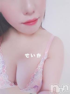 新潟デリヘル 奥様特急 新潟店(オクサマトッキュウニイガタテン) せいか(32)の12月15日写メブログ「戻ってます☆」