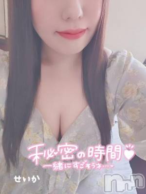 新潟デリヘル 奥様特急 新潟店(オクサマトッキュウニイガタテン) せいか(32)の3月28日写メブログ「ありがとう☆」