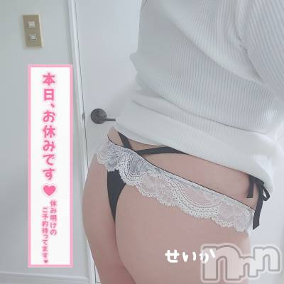 新潟デリヘル 奥様特急 新潟店(オクサマトッキュウニイガタテン) せいか(32)の3月30日写メブログ「お休み☆」
