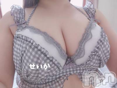 新潟デリヘル 奥様特急 新潟店(オクサマトッキュウニイガタテン) せいか(32)の4月20日写メブログ「おはよう☆」