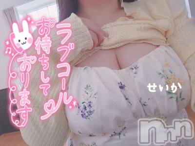 新潟デリヘル 奥様特急 新潟店(オクサマトッキュウニイガタテン) せいか(32)の7月2日写メブログ「出勤予定☆」