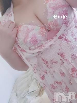新潟デリヘル 奥様特急 新潟店(オクサマトッキュウニイガタテン) せいか(32)の7月14日写メブログ「おはよう☆」